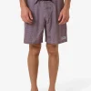 Discount Thrills Double Meaning Boardshort - Dove