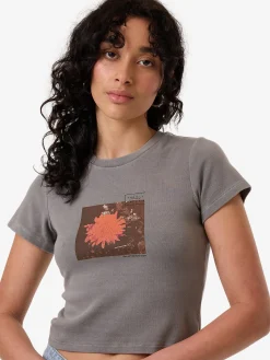 Fashion Thrills Natures Library Mini Tee - Washed Grey WashedGrey